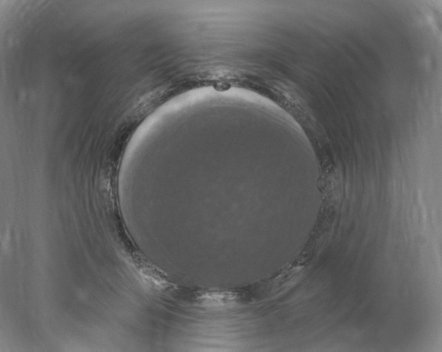 X0000077980415200611251350