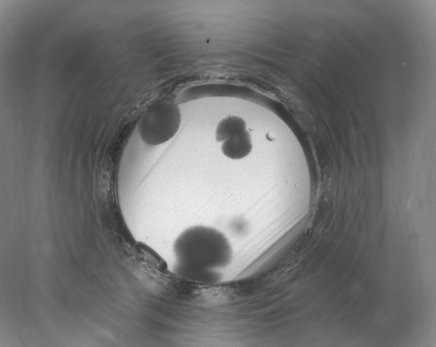 X0000077980417200611251350