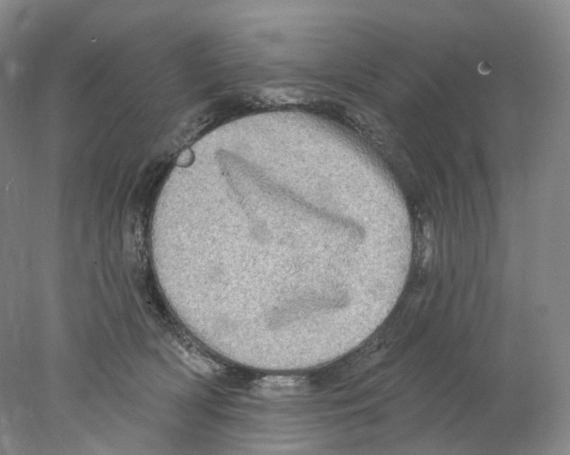 X0000077980418200611251350