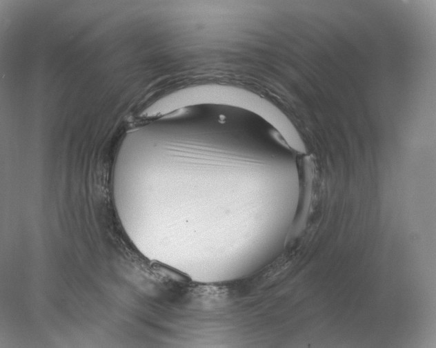 X0000077980421200611251350