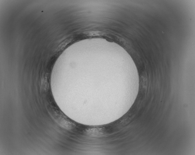 X0000077980422200611251350