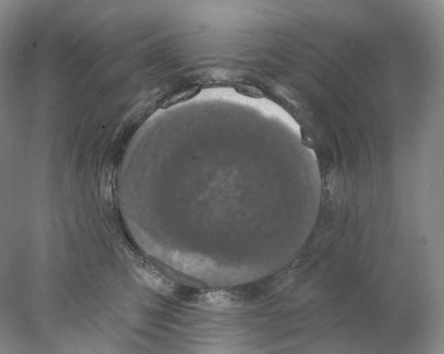 X0000077980423200611251350