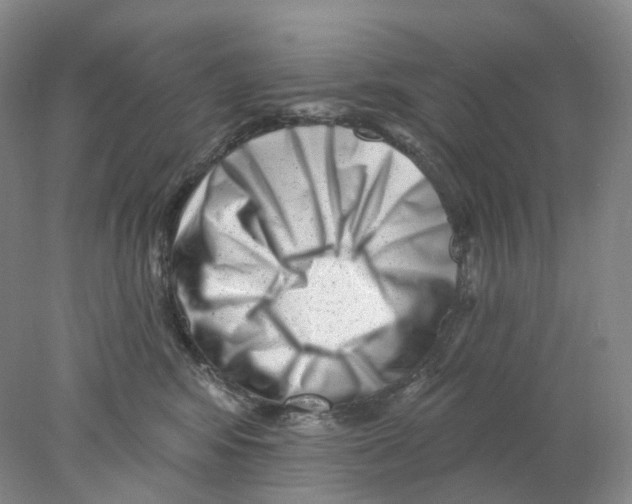 X0000077980424200611251350