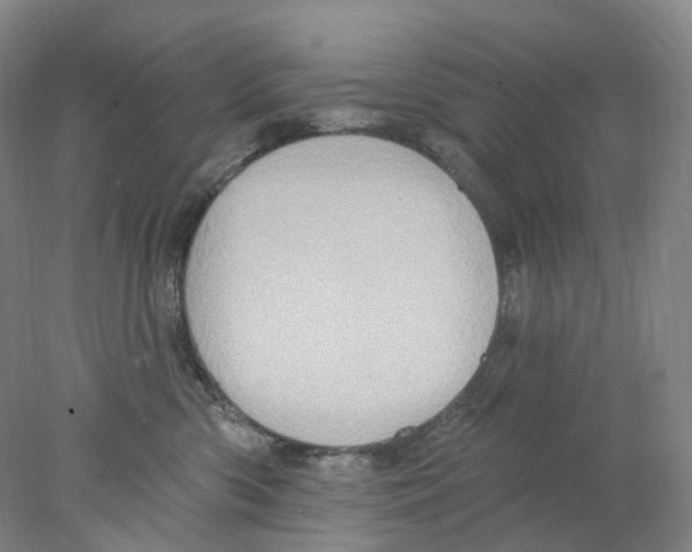 X0000077980426200611251350