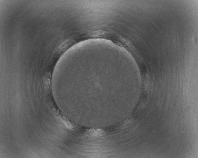 X0000077980427200611251350