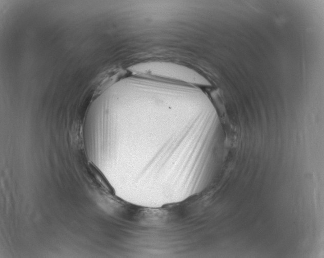 X0000077980429200611251350