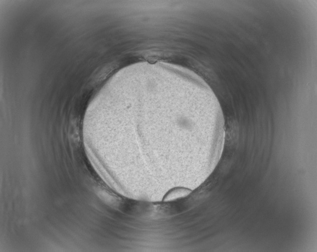 X0000077980430200611251350