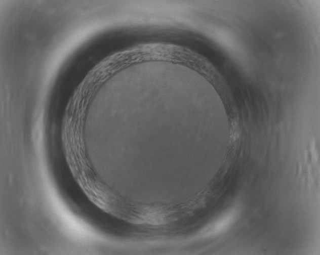 X0000077980431200611251350