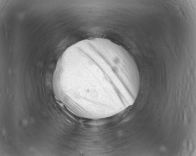 X0000077980432200611251350