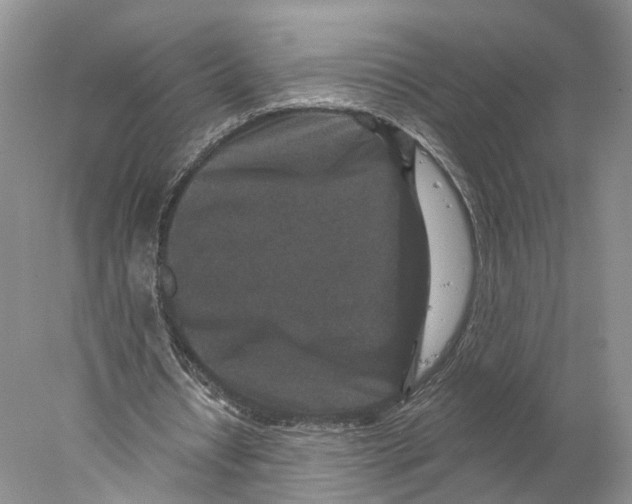 X0000077980434200611251349