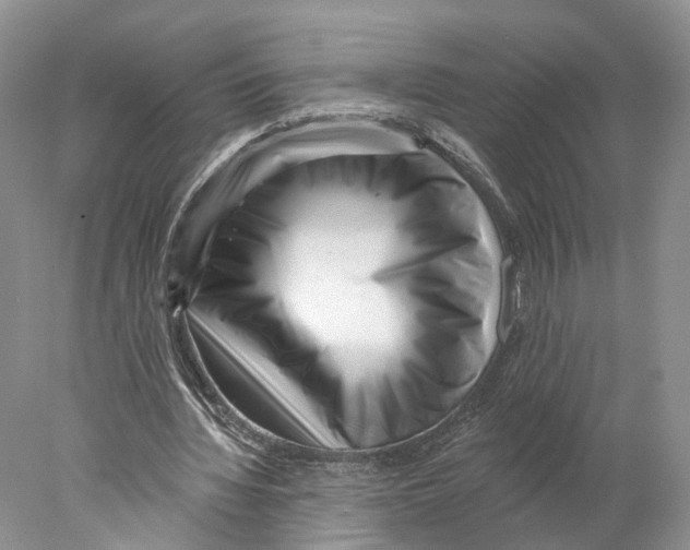 X0000077980436200611251349