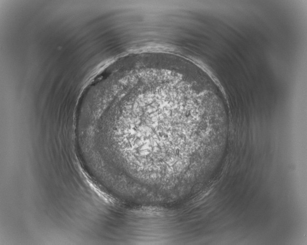 X0000077980437200611251349