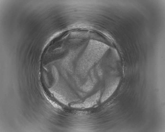 X0000077980438200611251349