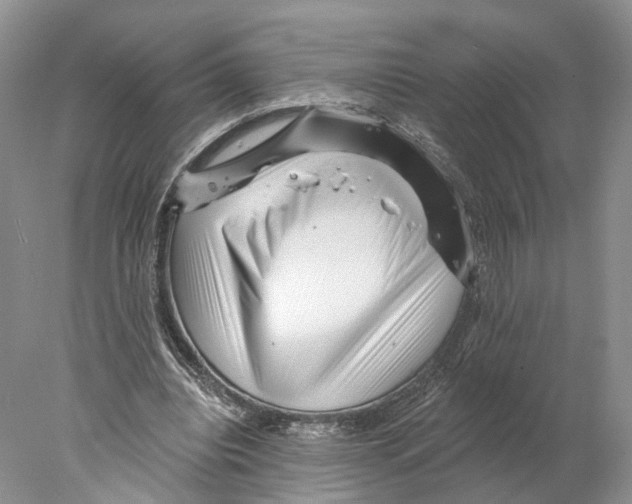 X0000077980440200611251349