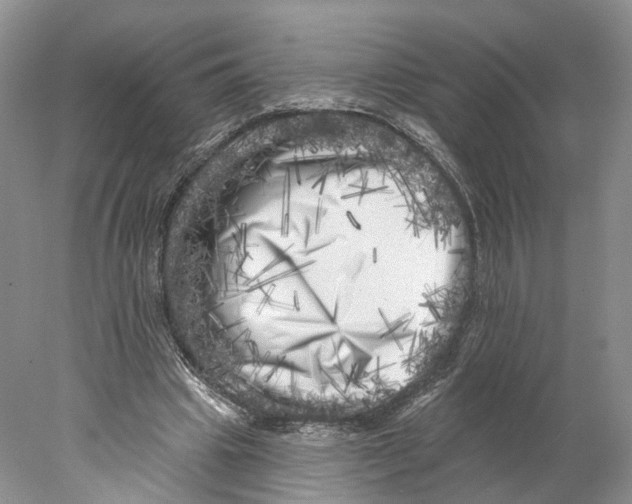 X0000077980441200611251349