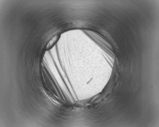 X0000077980442200611251349