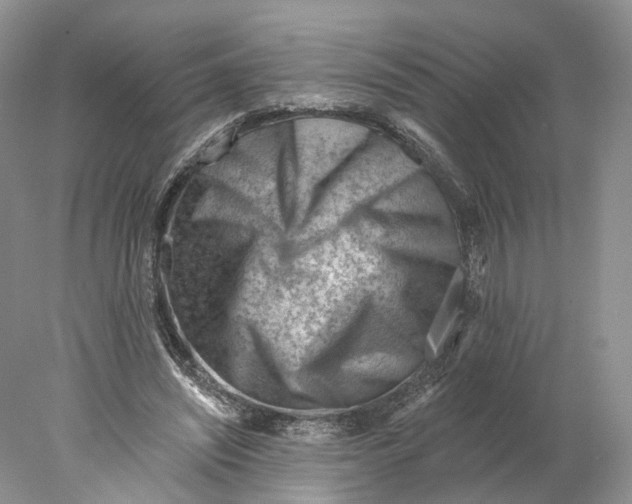 X0000077980444200611251349