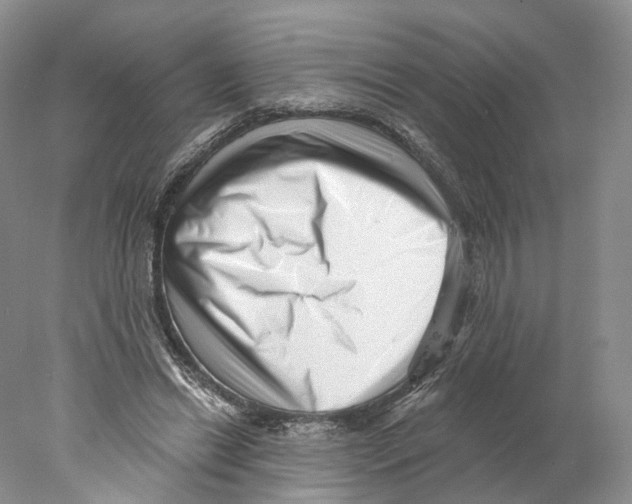 X0000077980446200611251350