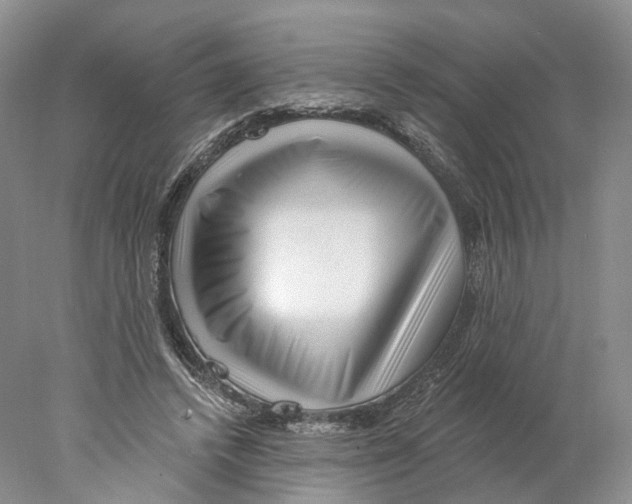 X0000077980448200611251350