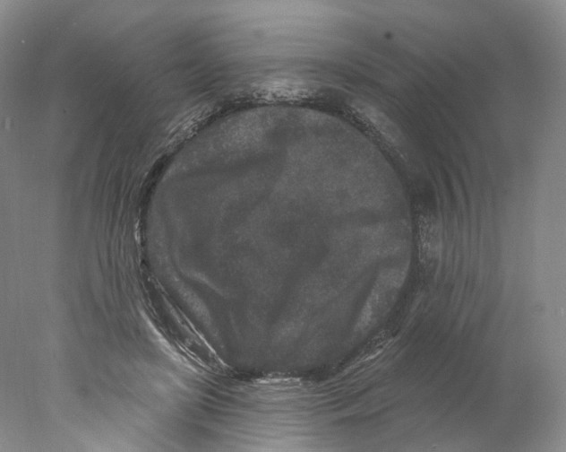 X0000077980451200611251350