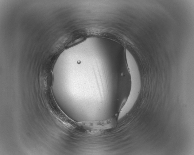 X0000077980452200611251350