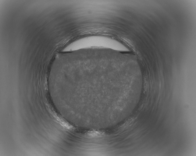 X0000077980453200611251350