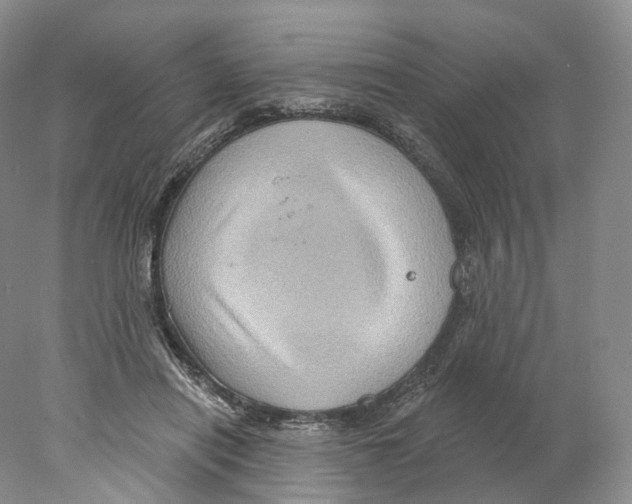 X0000077980454200611251350