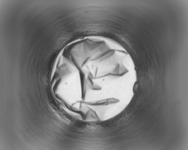 X0000077980455200611251350