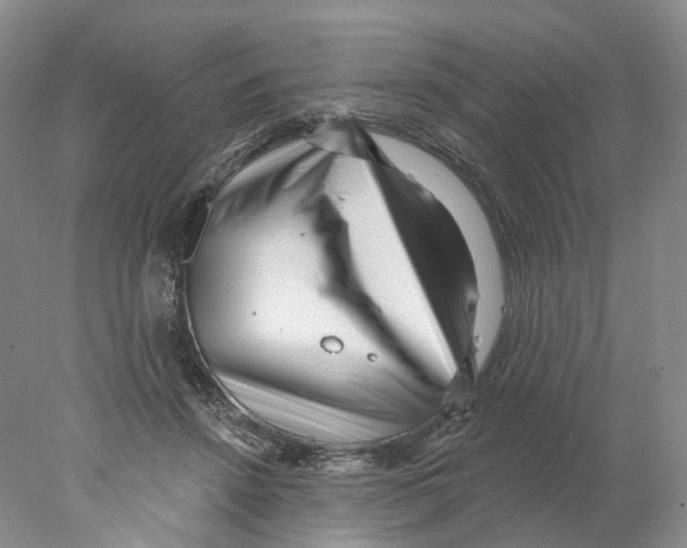 X0000077980456200611251350