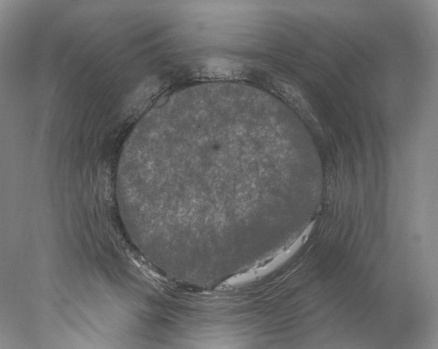 X0000077980457200611251350