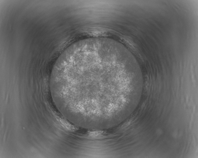 X0000077980461200611251350