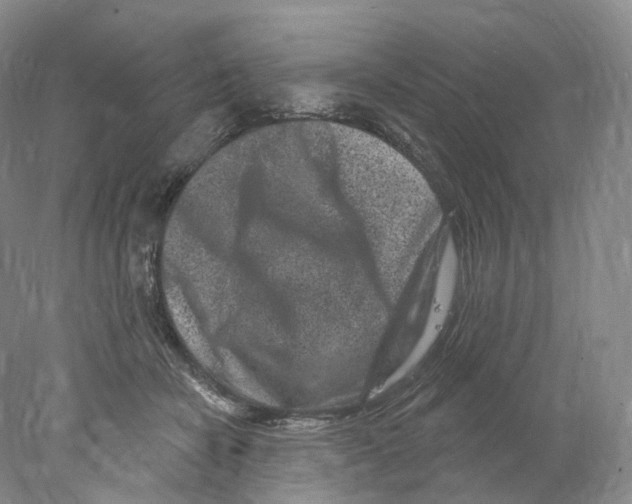 X0000077980462200611251350