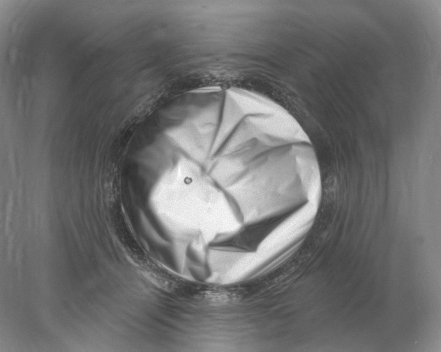 X0000077980464200611251350