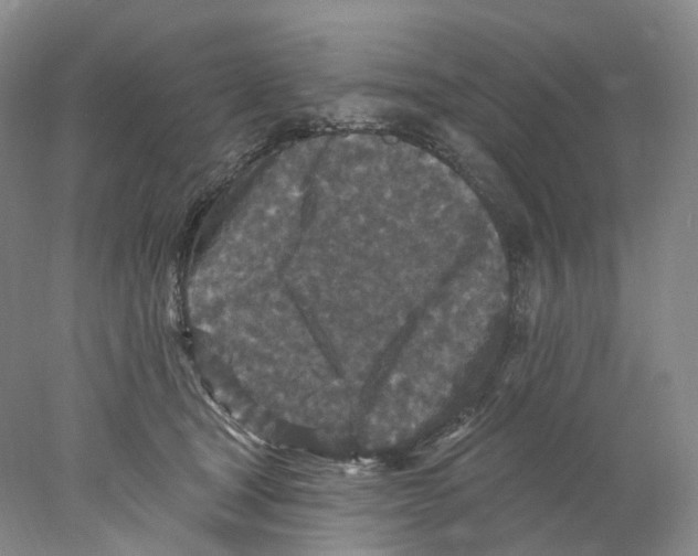 X0000077980465200611251350