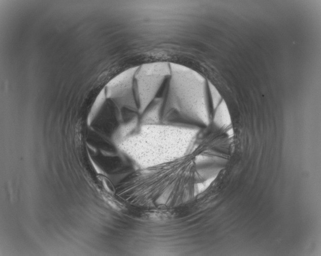 X0000077980466200611251350