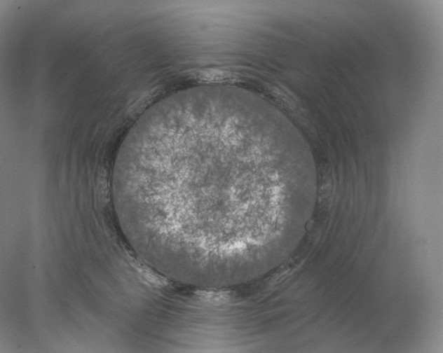 X0000077980469200611251350