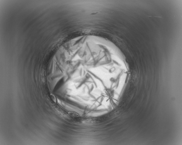 X0000077980470200611251350