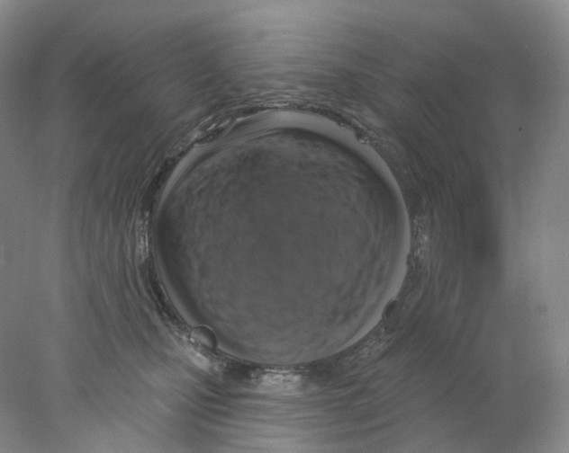 X0000077980471200611251350