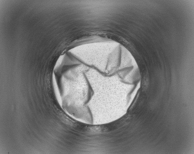 X0000077980473200611251350