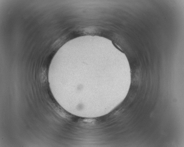 X0000077980478200611251350