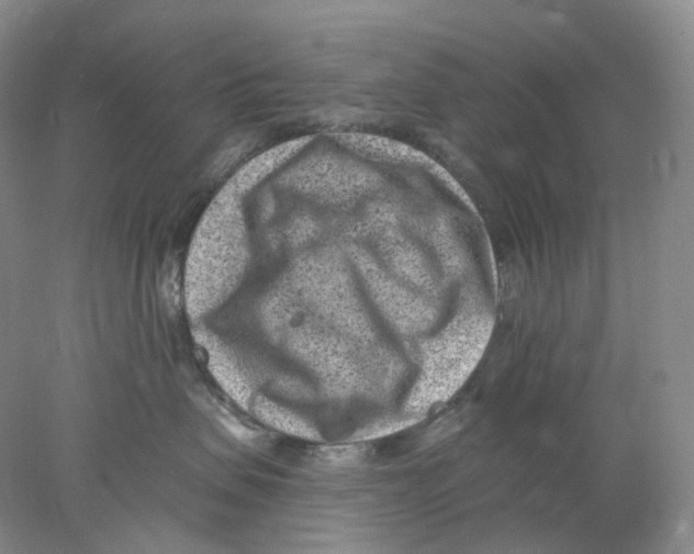 X0000077980479200611251350