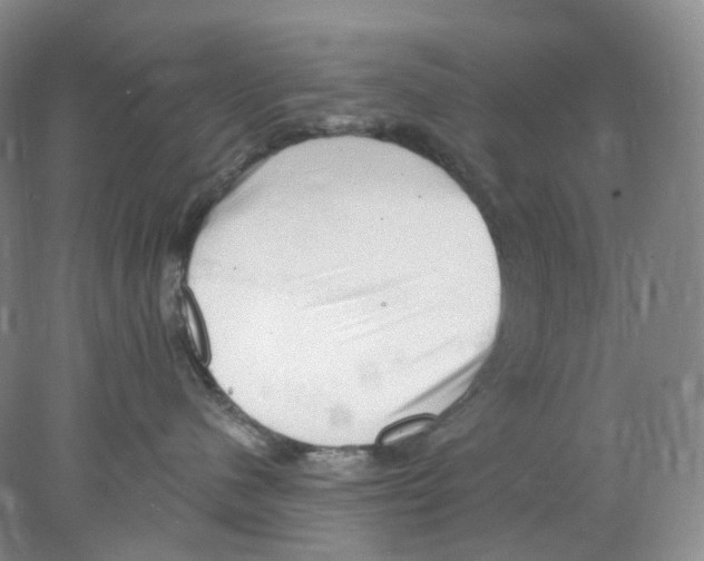 X0000077980480200611251350