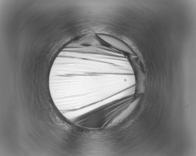 X0000077980481200611251349