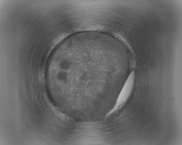 X0000077980483200611251349