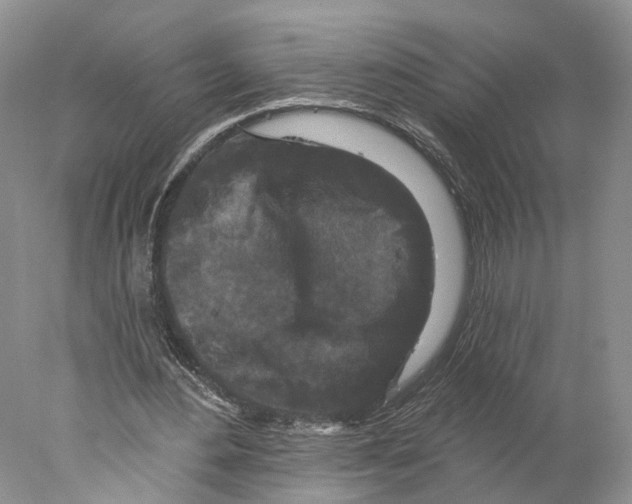 X0000077980484200611251349