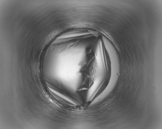 X0000077980485200611251349