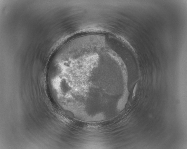 X0000077980487200611251349