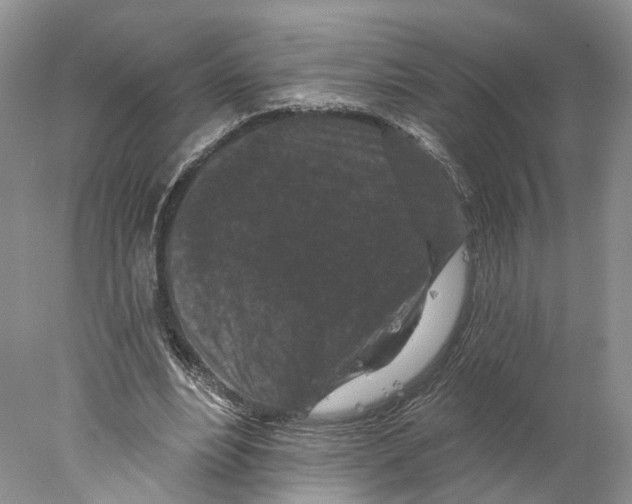 X0000077980488200611251349