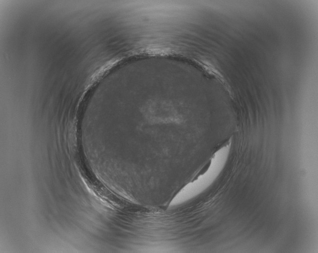 X0000077980492200611251349