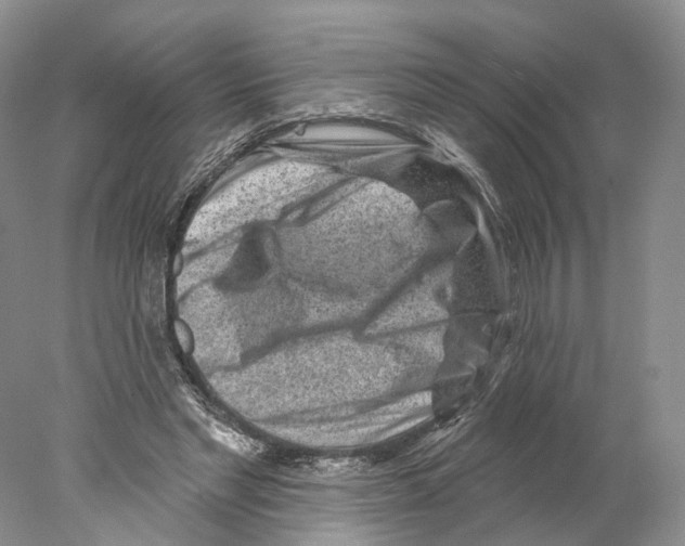 X0000077980493200611251349